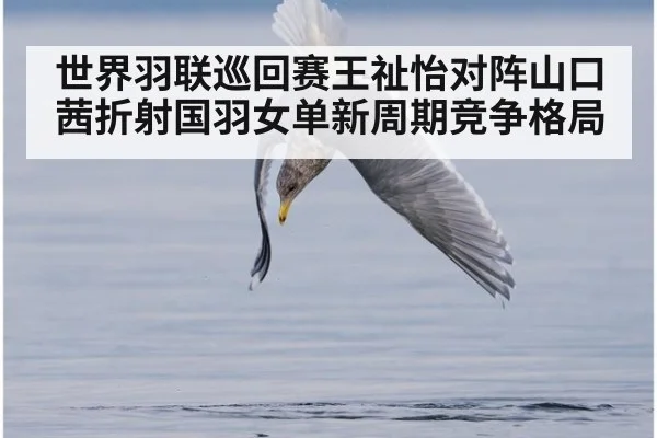 世界羽联巡回赛王祉怡对阵山口茜折射国羽女单新周期竞争格局